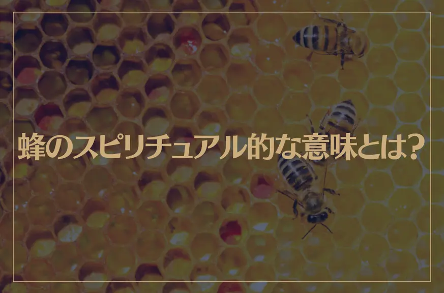 蜂のスピリチュアル的な意味とは？蜂に刺される夢を見たら・・・