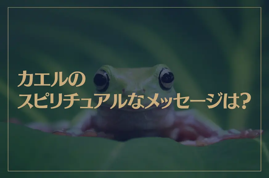 カエルのスピリチュアルなメッセージは？カエルは幸運の象徴で縁起がいい？