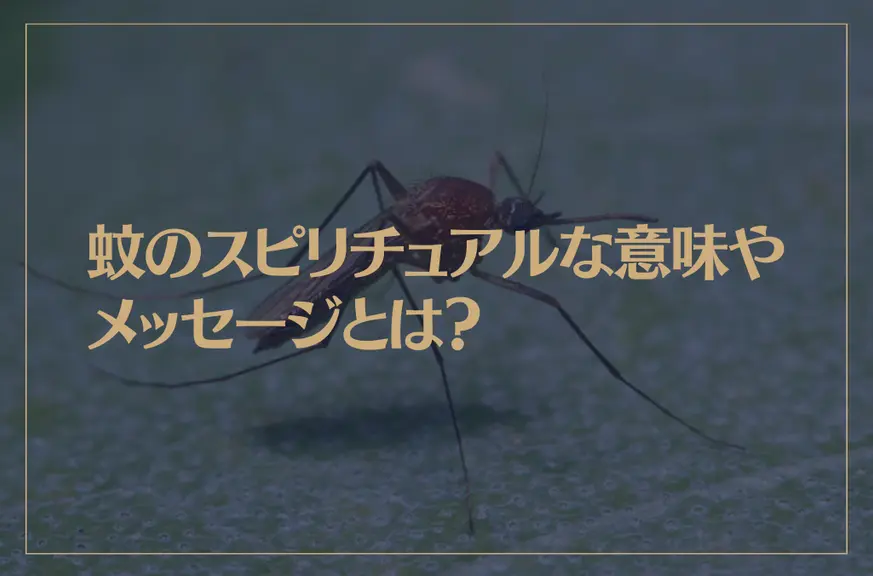 蚊のスピリチュアルな意味やメッセージとは？蚊に刺された時の暗示は？