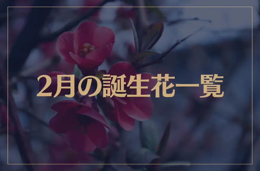 【2月の誕生花一覧】2月の誕生花・花言葉をご紹介！