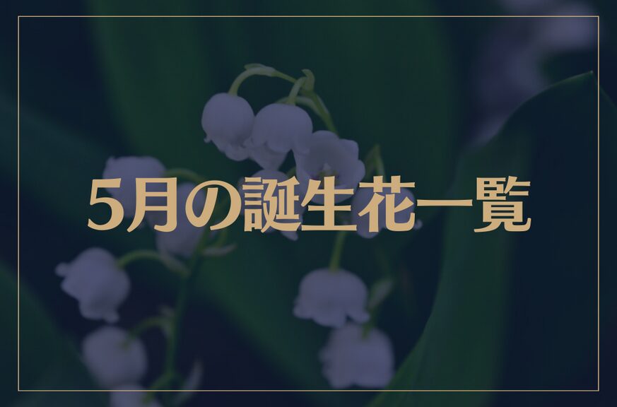 【5月の誕生花一覧】5月の誕生花・花言葉をご紹介！