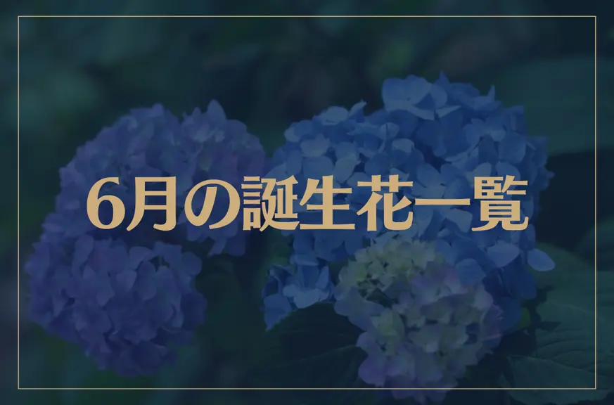 【6月の誕生花一覧】6月の誕生花・花言葉をご紹介！