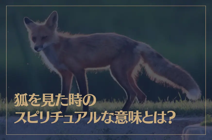 狐を見た時のスピリチュアルな意味とは？白い狐のスピリチュアルな意味もご紹介！