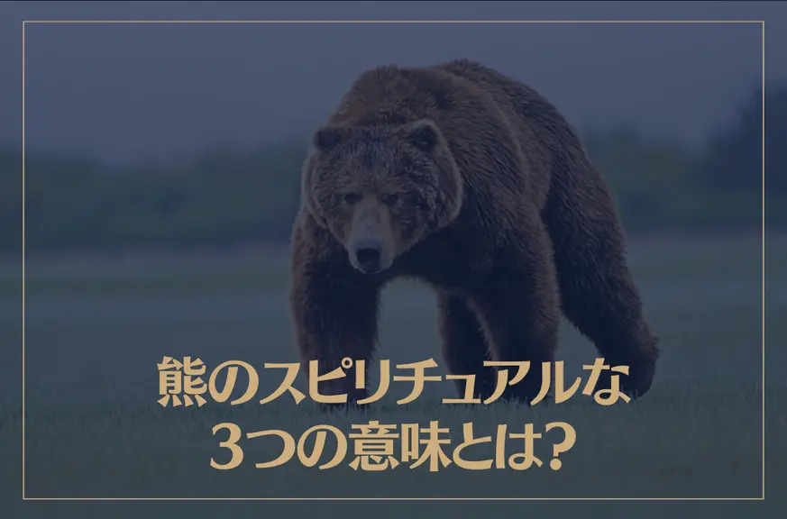 熊のスピリチュアルな3つの意味とは？熊が夢に出てくる時の意味もご紹介！