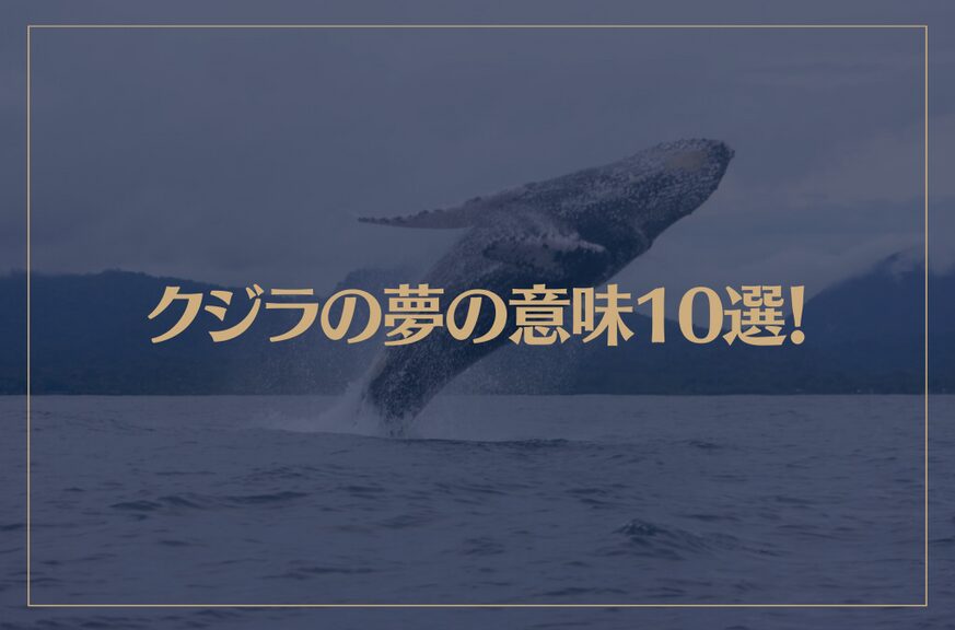 【夢占い】クジラの夢の意味10選！シチュエーション別にご紹介！