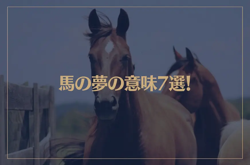 【夢占い】馬の夢の意味7選！シチュエーション別にご紹介！