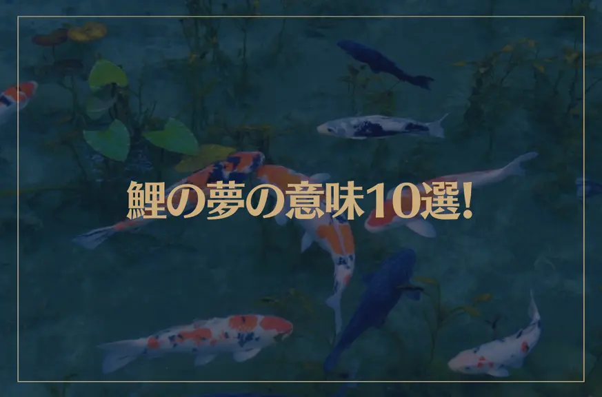 【夢占い】鯉の夢の意味10選！シチュエーション別にご紹介！
