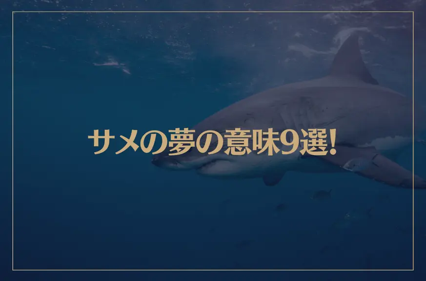【夢占い】サメの夢の意味9選！シチュエーション別にご紹介！