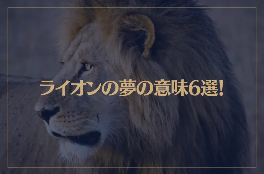 【夢占い】ライオンの夢の意味6選！シチュエーション別にご紹介！