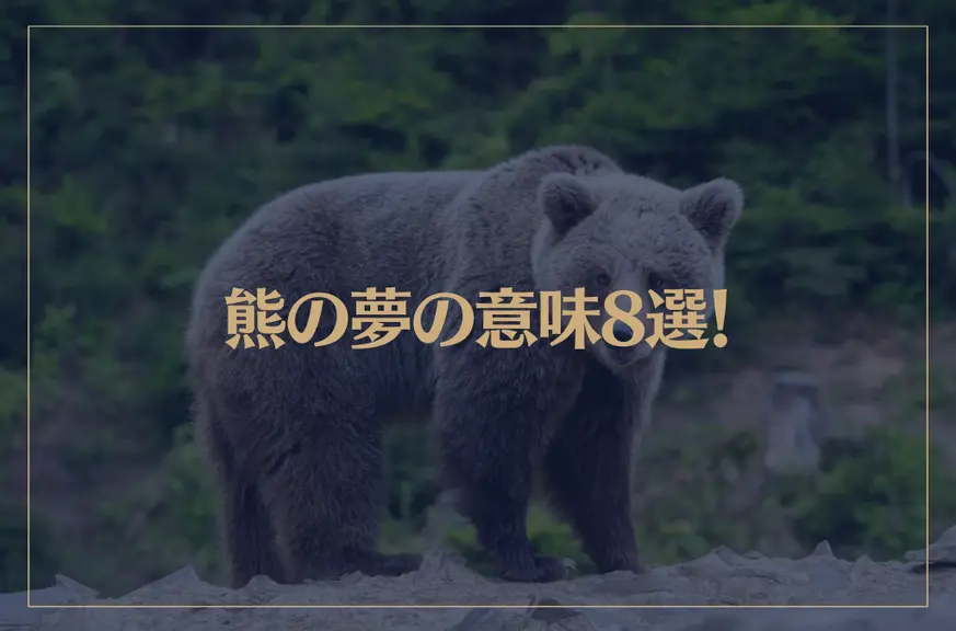 【夢占い】熊の夢の意味8選！シチュエーション別にご紹介！